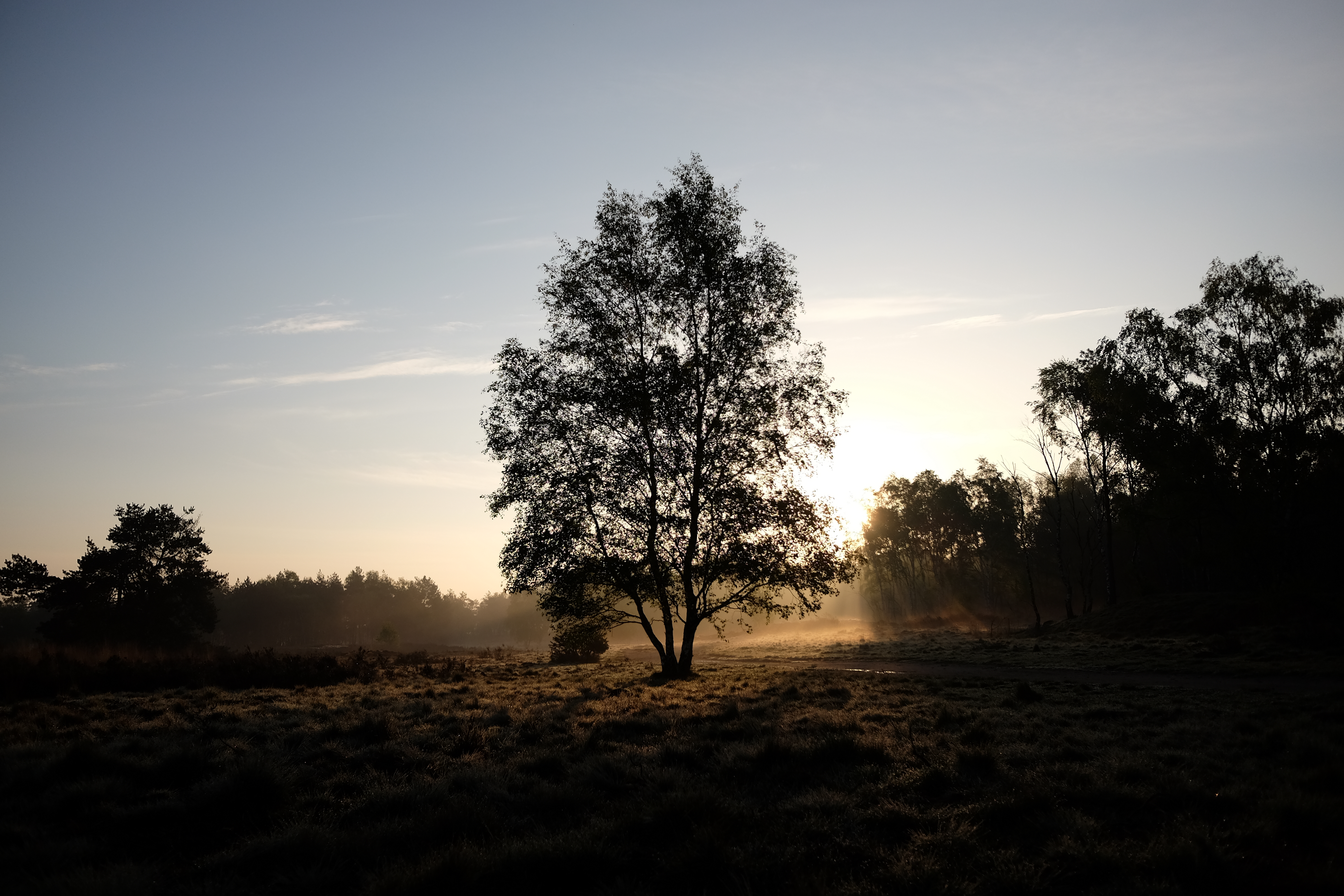 Meditatie verwilderen: kan het ook aardser?